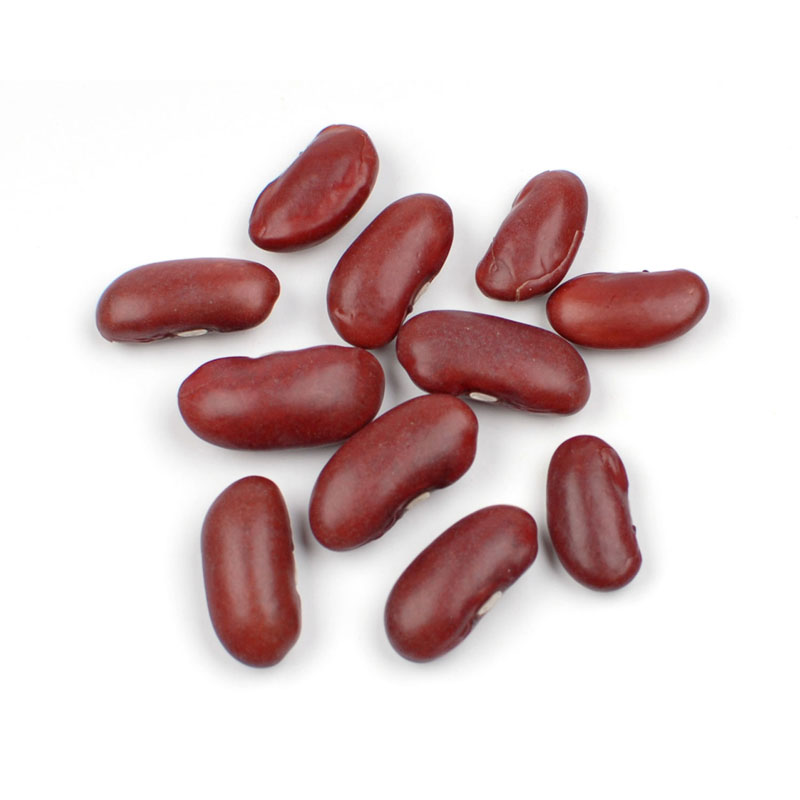 Kidney Beans Foodfinderz